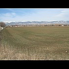 img_1284.jpg