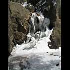 img_1295.jpg